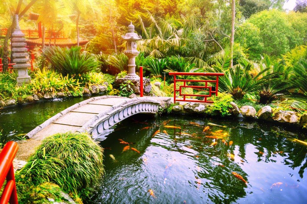 Most Beautiful Backyard Koi Pond Of Asia Garden Designs Gardening Ace