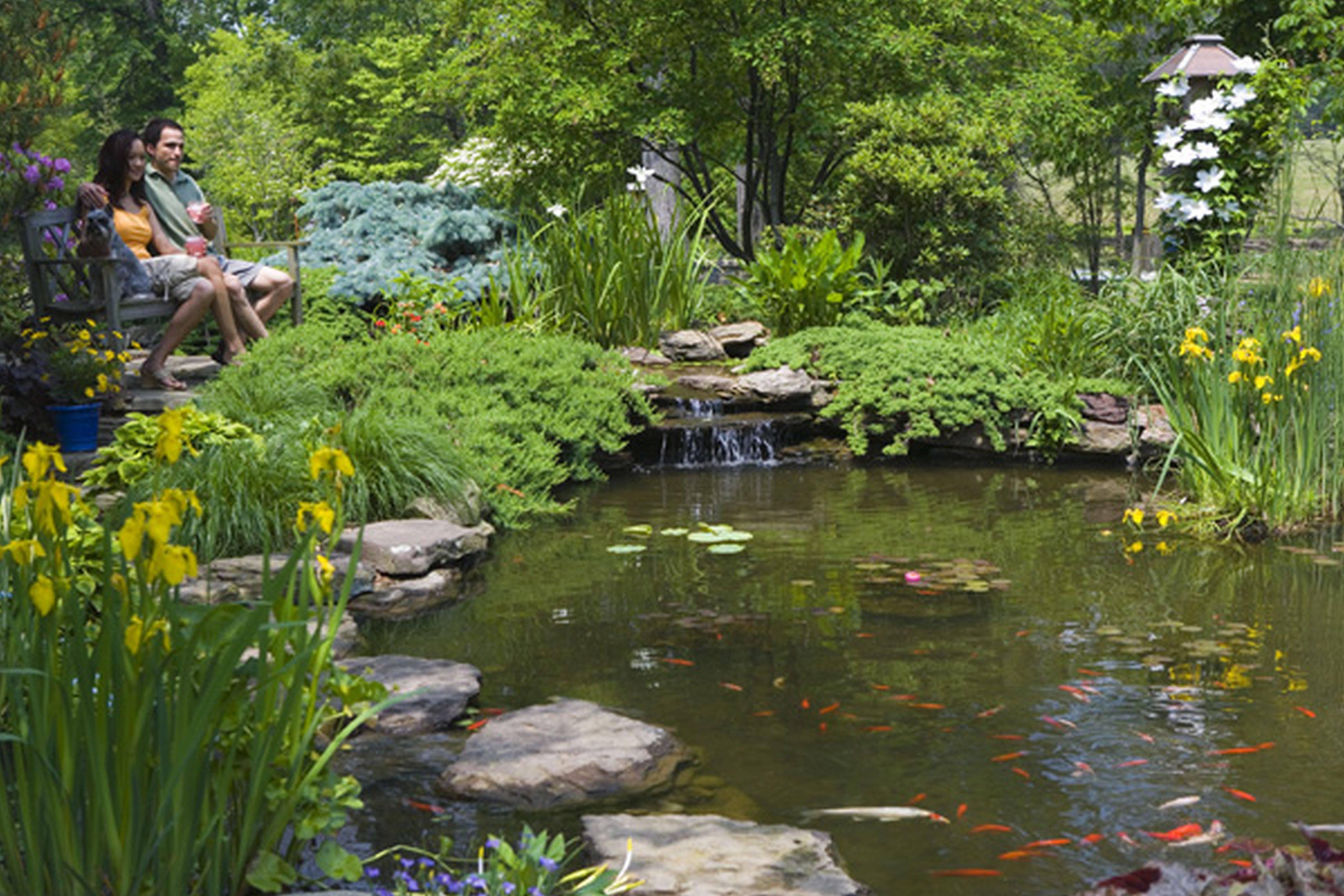 Modern Diy Garden Pond Waterfall Ideas