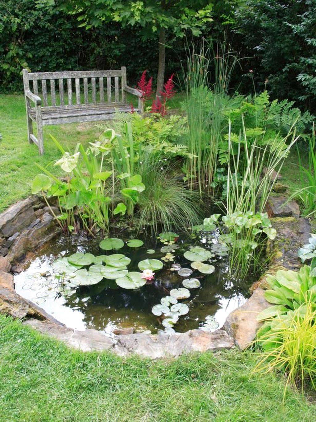 Simple Beautiful Small Pond And Water Garden