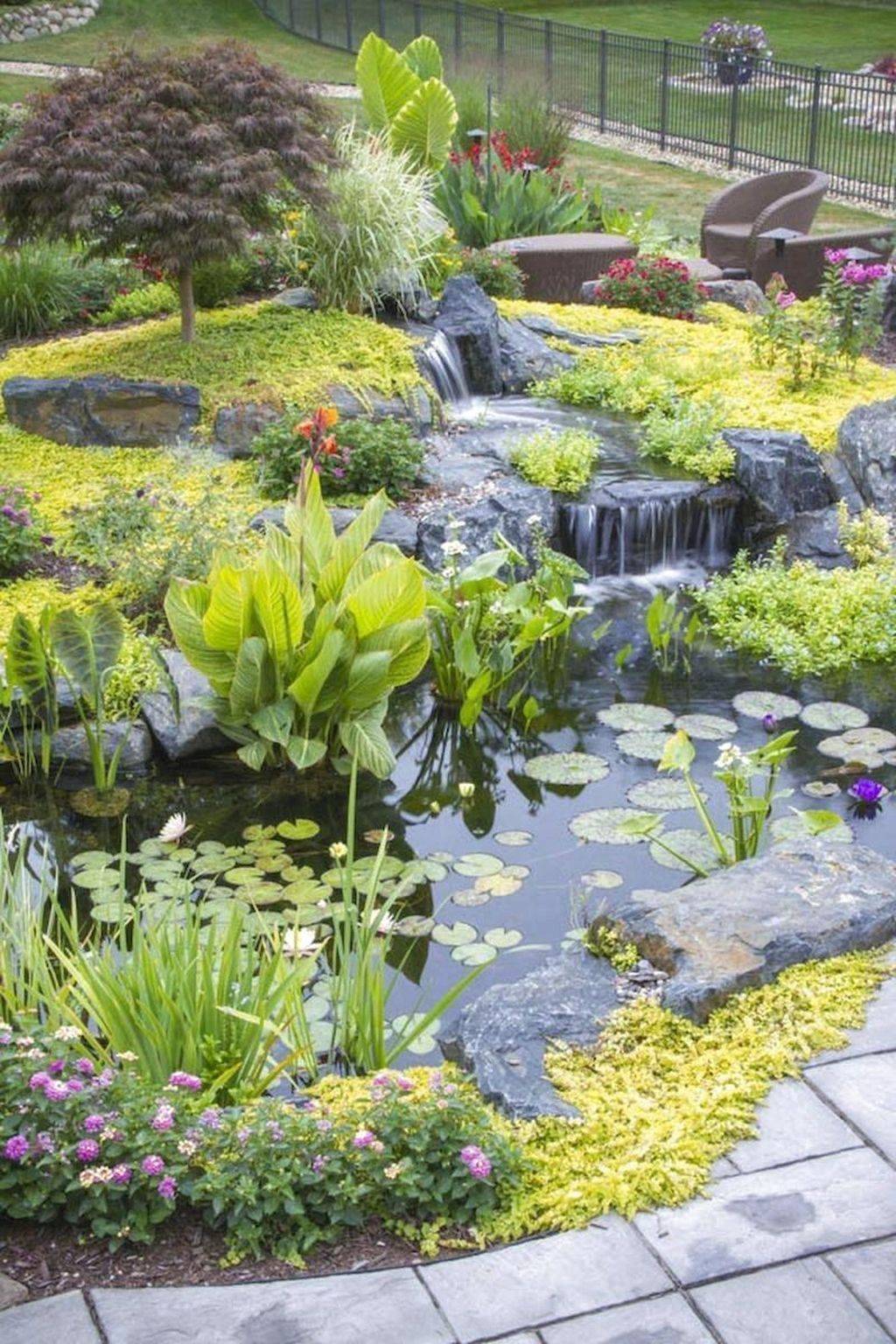 Ground Patio Pond Backyard Summer Small Fish