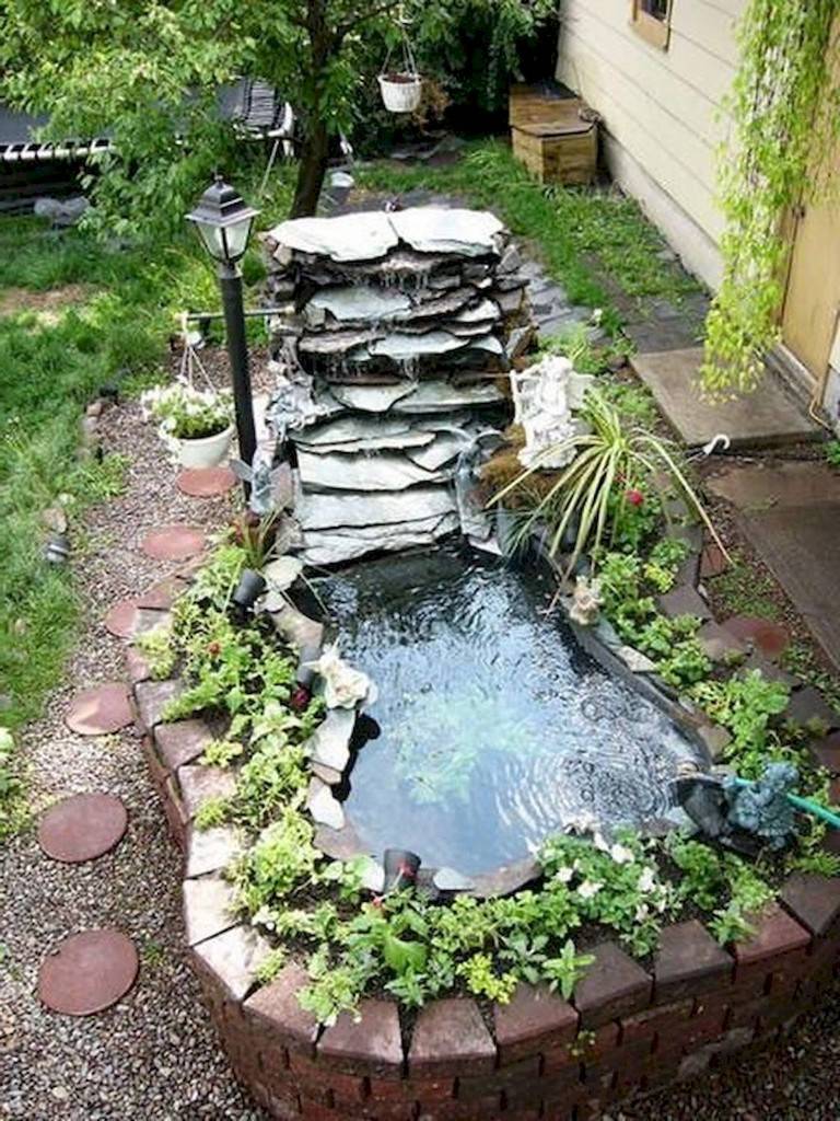 Ground Patio Pond Backyard Summer Small Fish