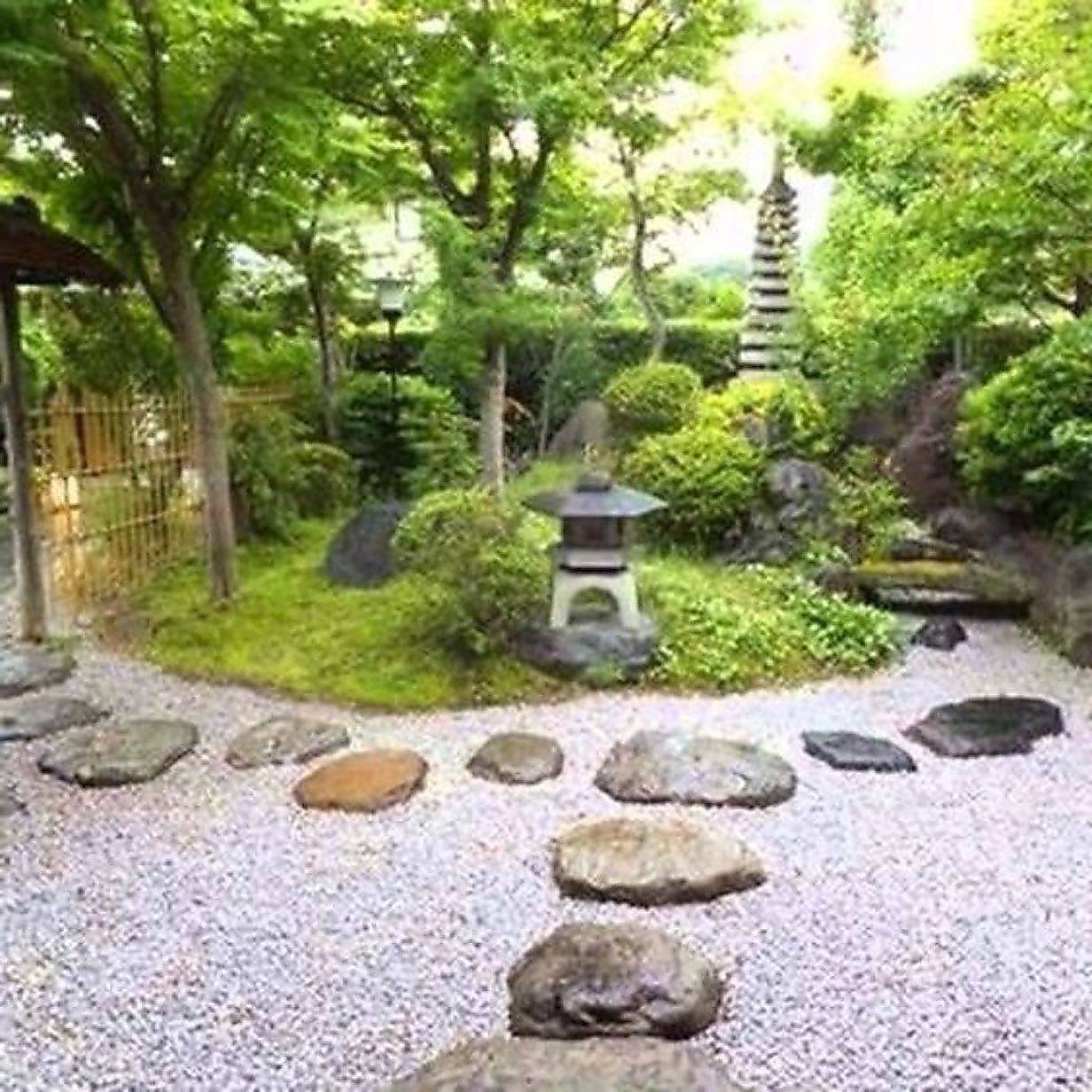 Japanese Garden Plants Gardening Tips