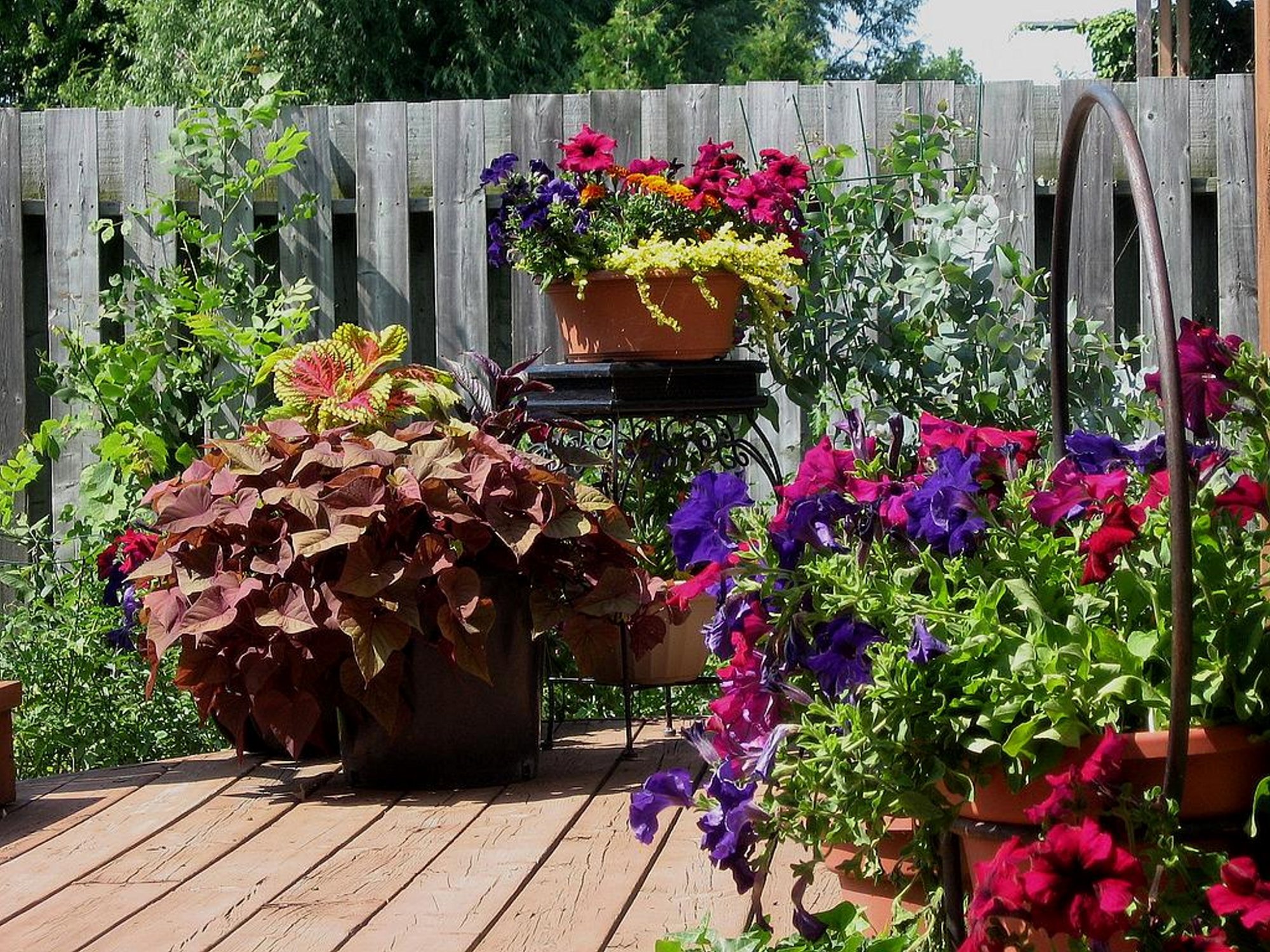 Container Gardening Ideas