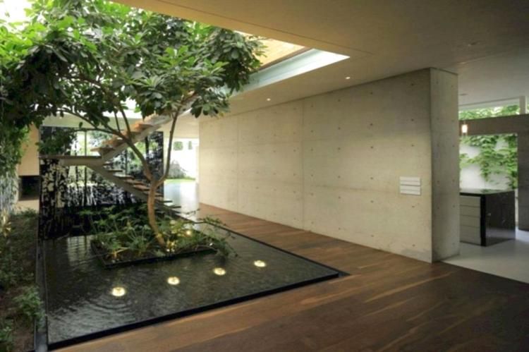 Indoor Zen Garden Ideas Photograph