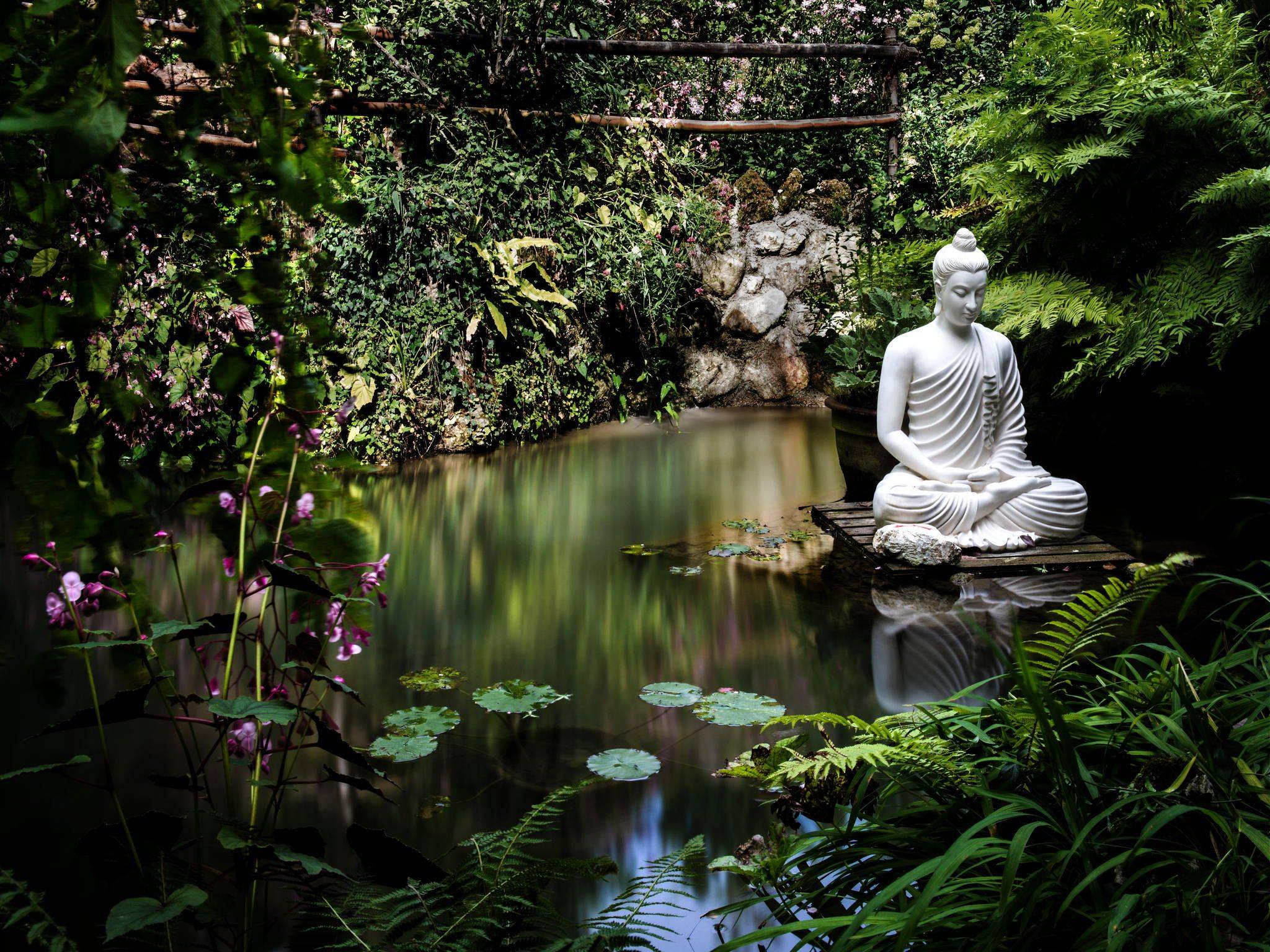 Awesome Buddha Garden Design Ideas