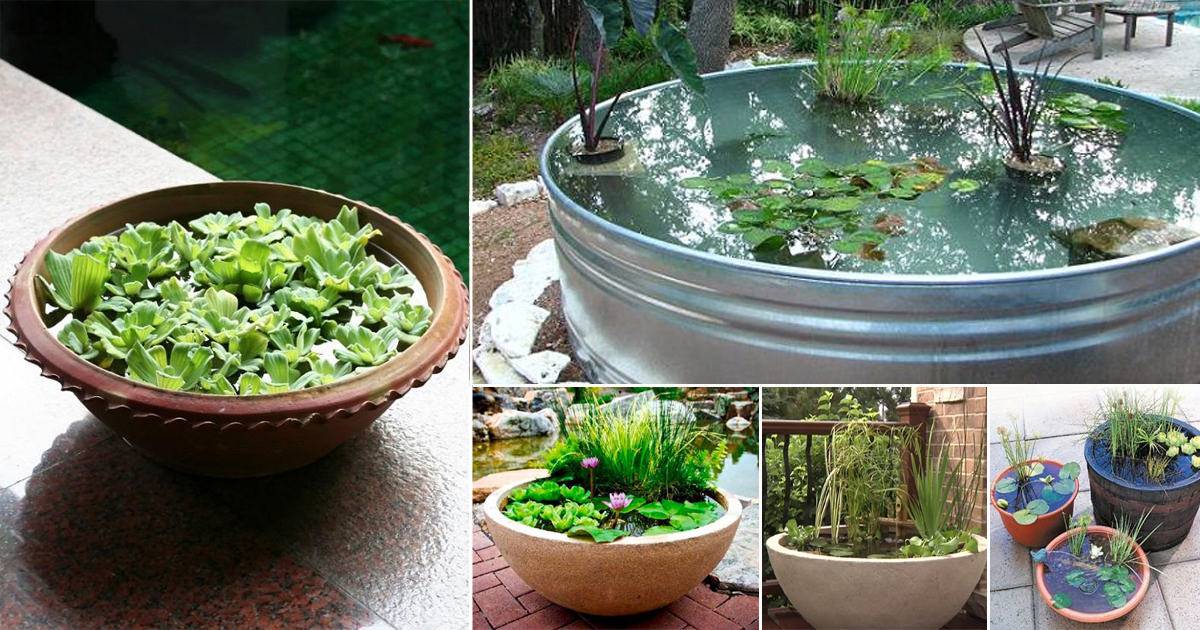 Charming And Cheap Mini Water Garden Ideas