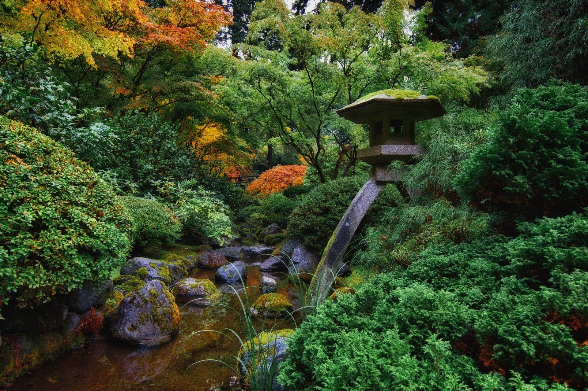 Japanese Garden Japanese Garden