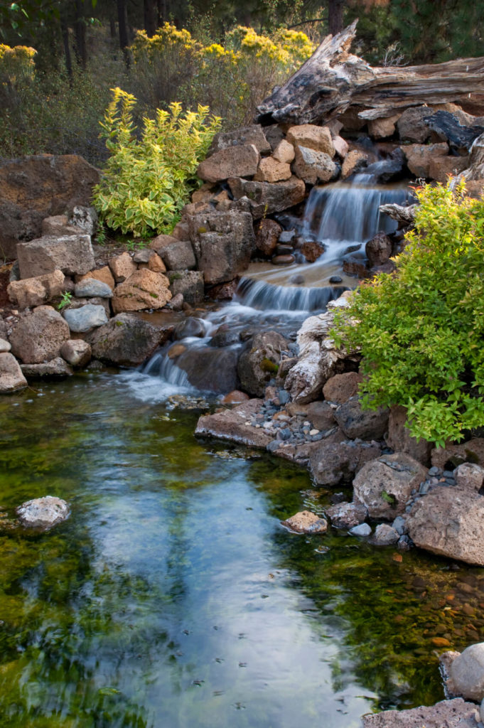 Backyard Garden Waterfalls