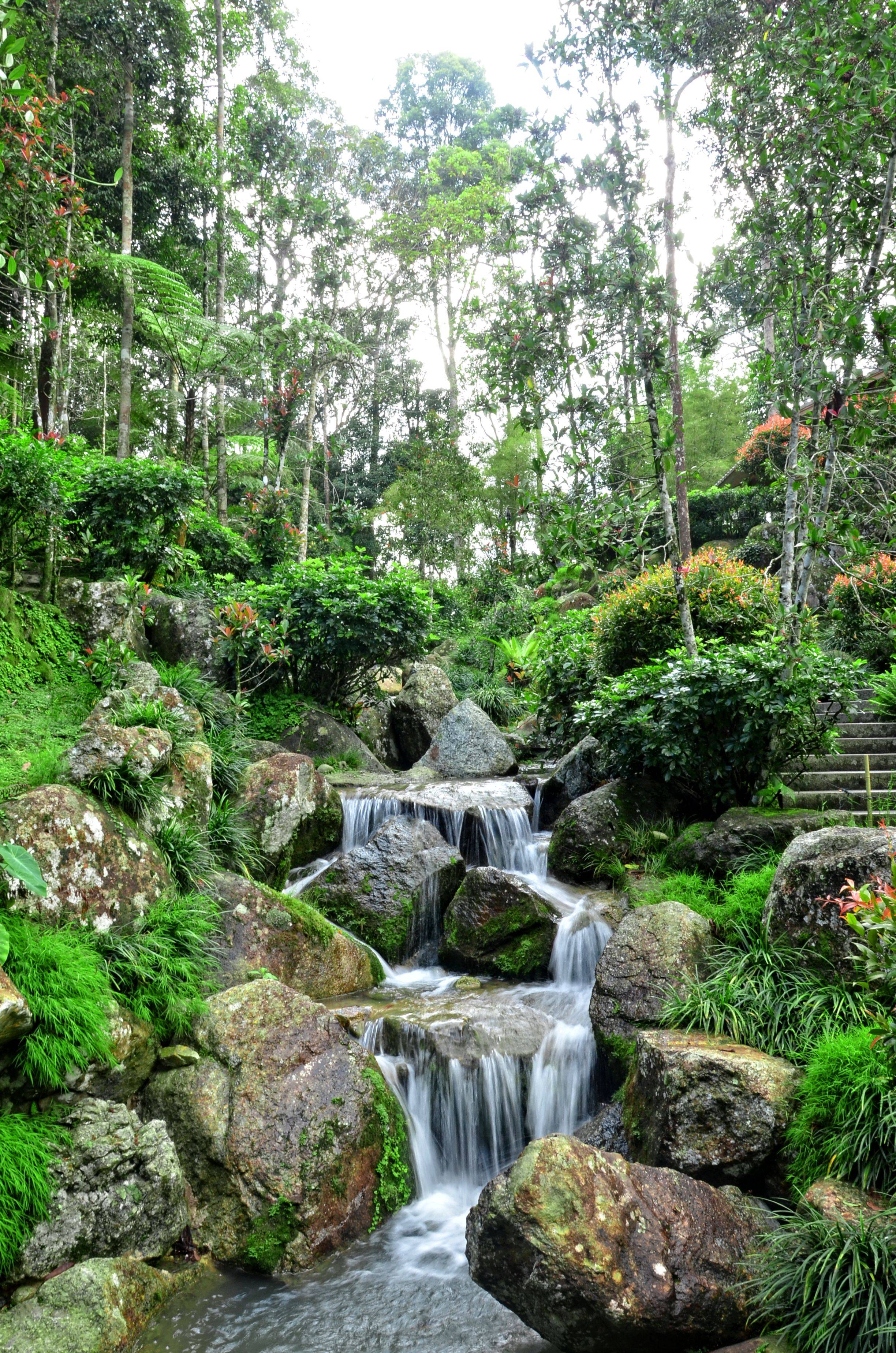 Japanese Garden Waterfall