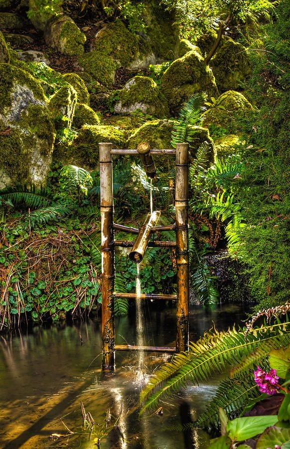 Fascinating Bamboo Fountain Ideas