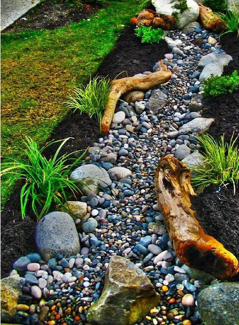 Bright Rain Garden Design Ideas