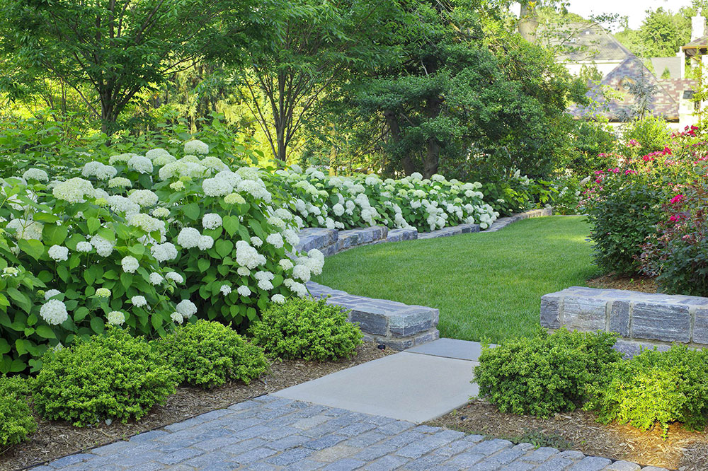 Front Yard Rain Garden Diy Garden