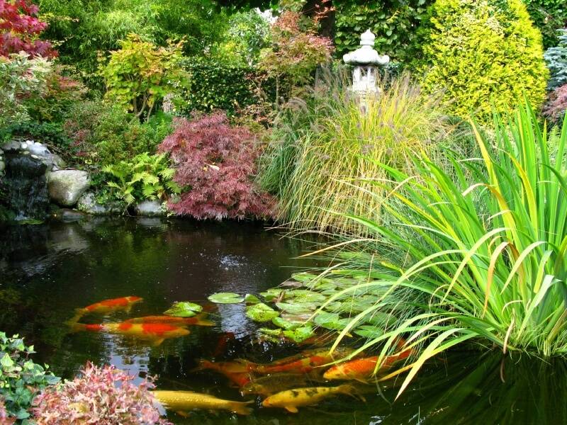 Backyard Garden Waterfalls