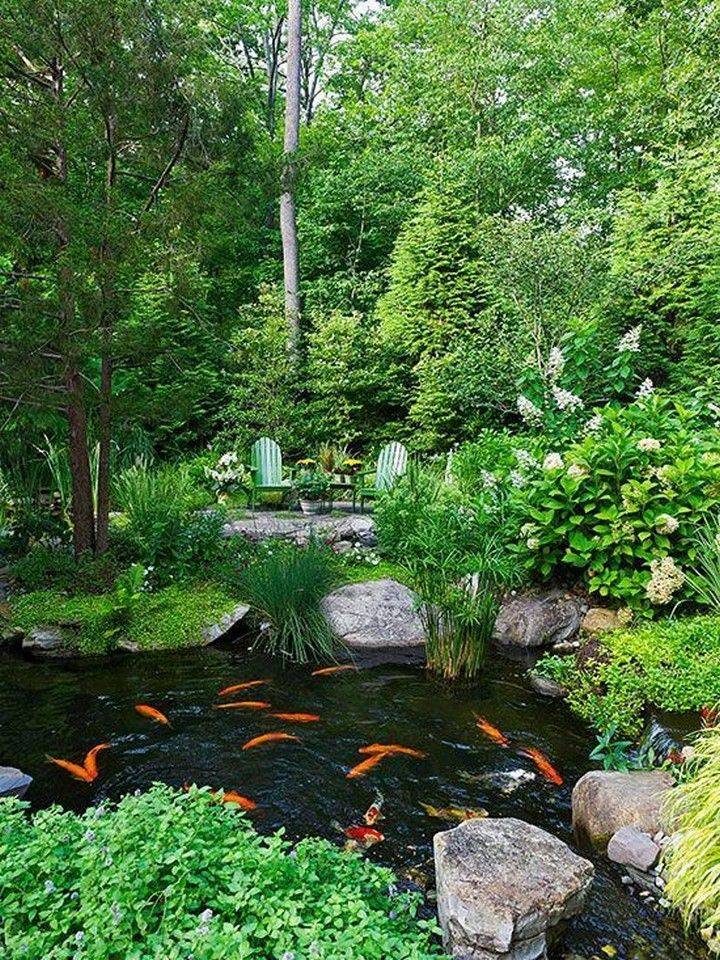 Backyard Pond Ideas