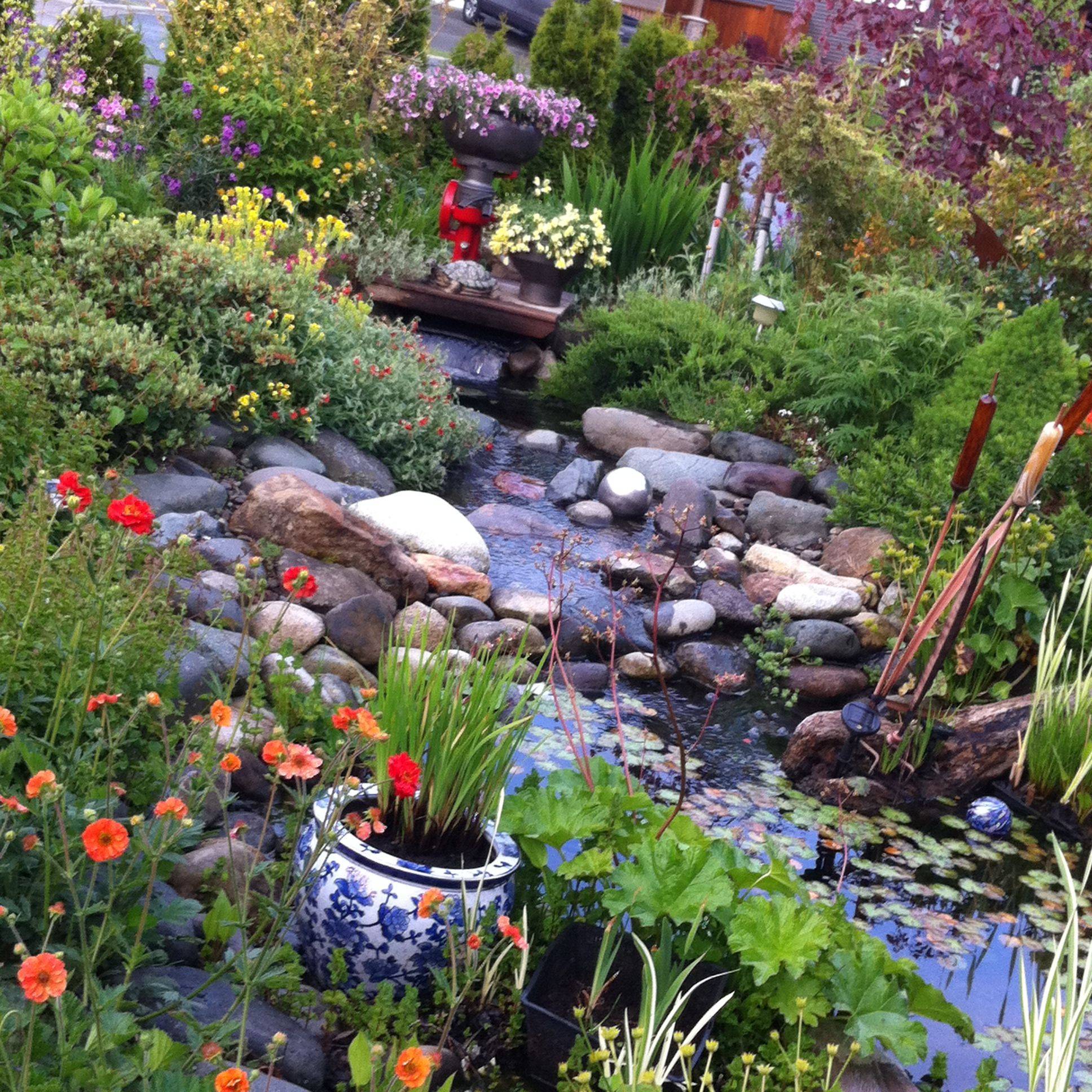 Naturalbackyardpondgardenideas