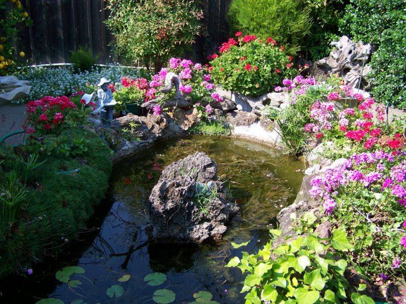 Raised Bed Pond Diy Ponds