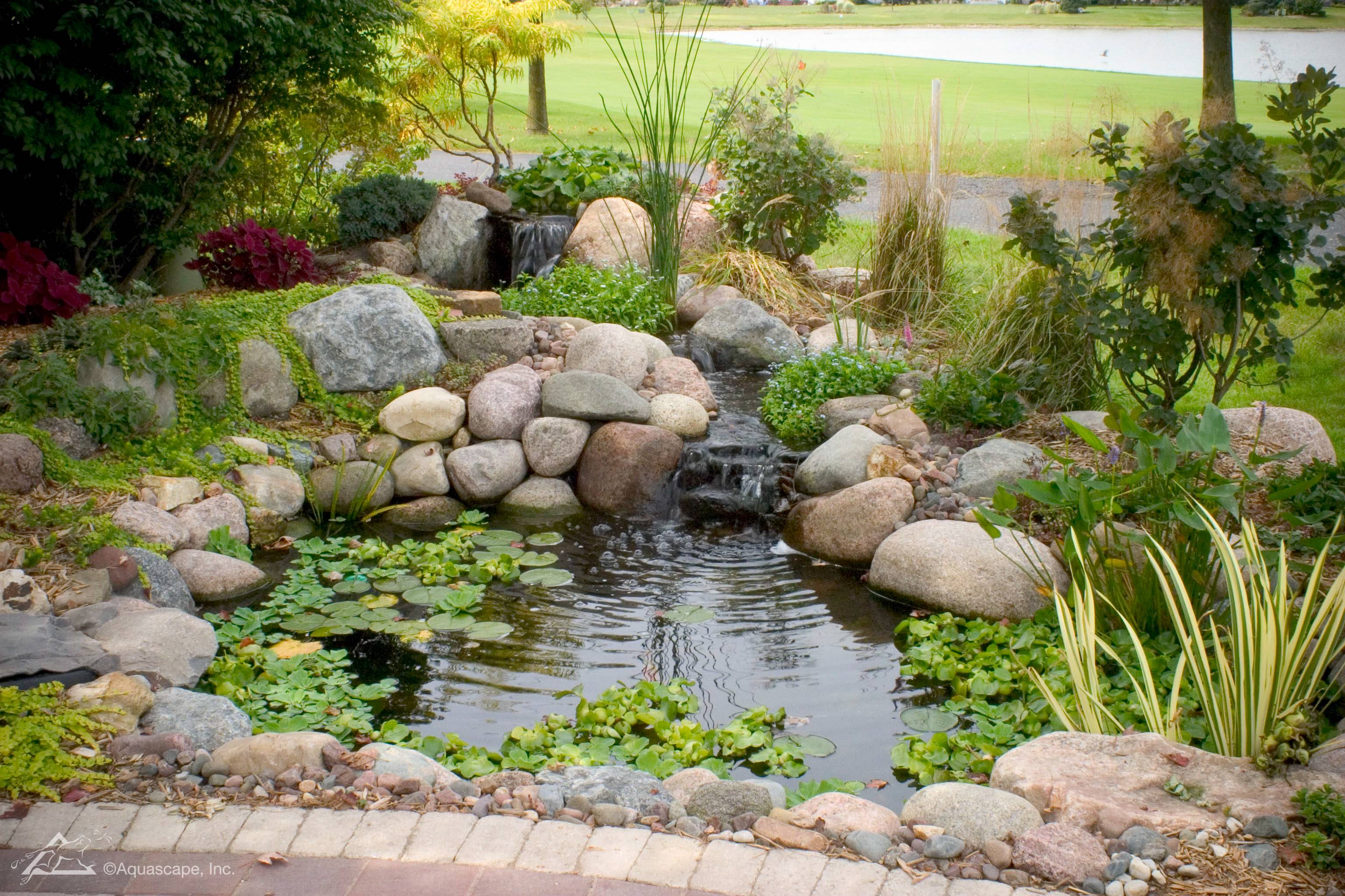 Small Garden Pond Ideas