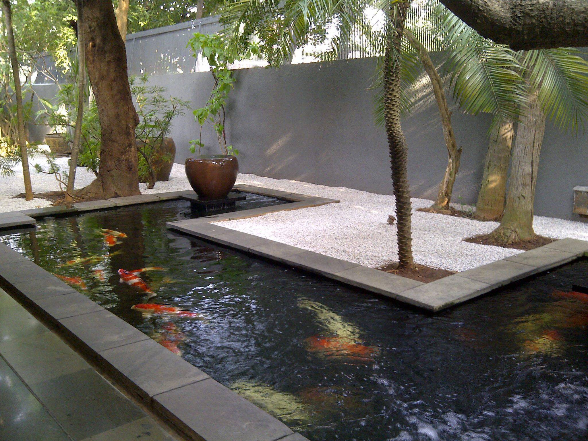 Koi Pond Japanese Garden Wjdesignshost