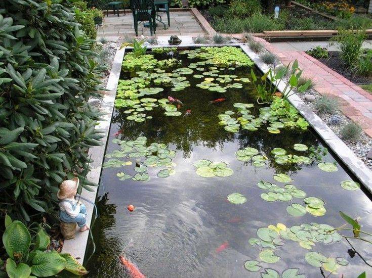 Koi Garden Pond Design