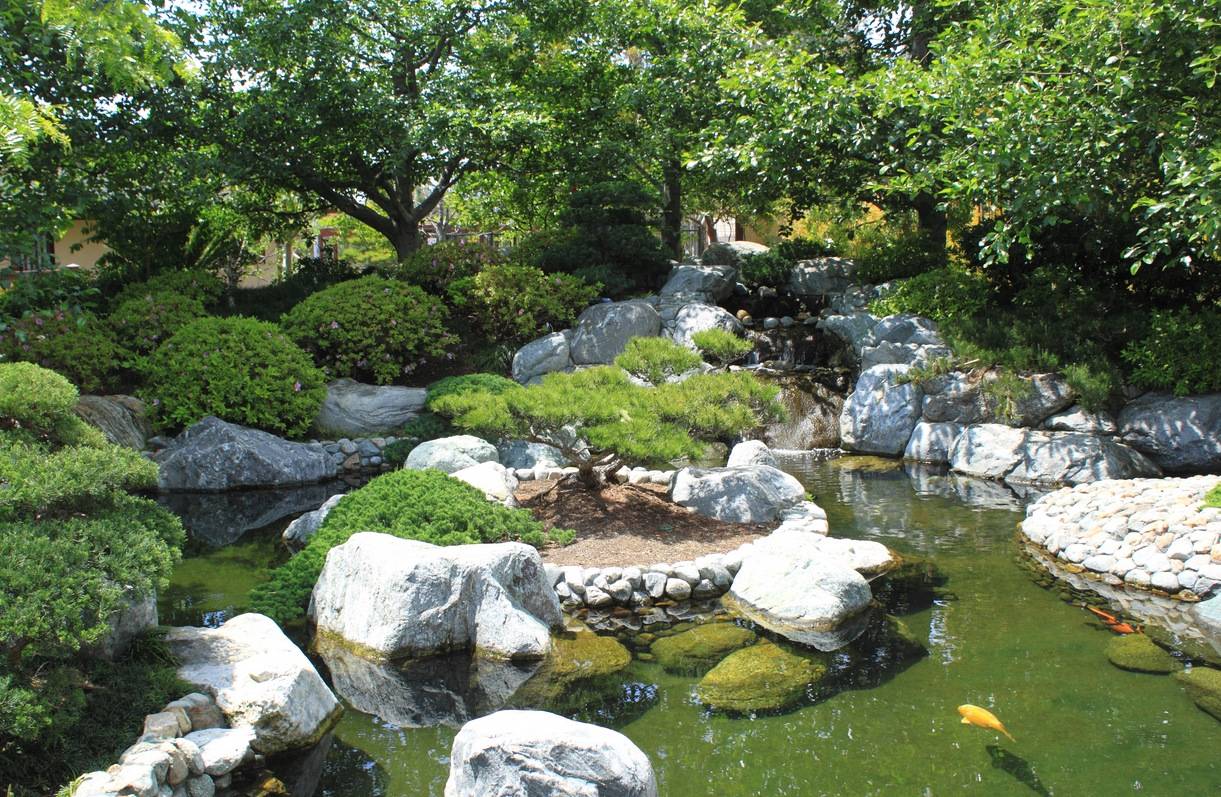 Design Fish Japanese Garden Japanese
