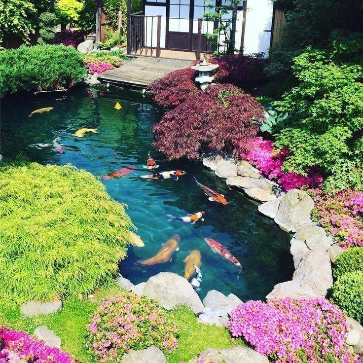 Traditional Japanese Koi Pond