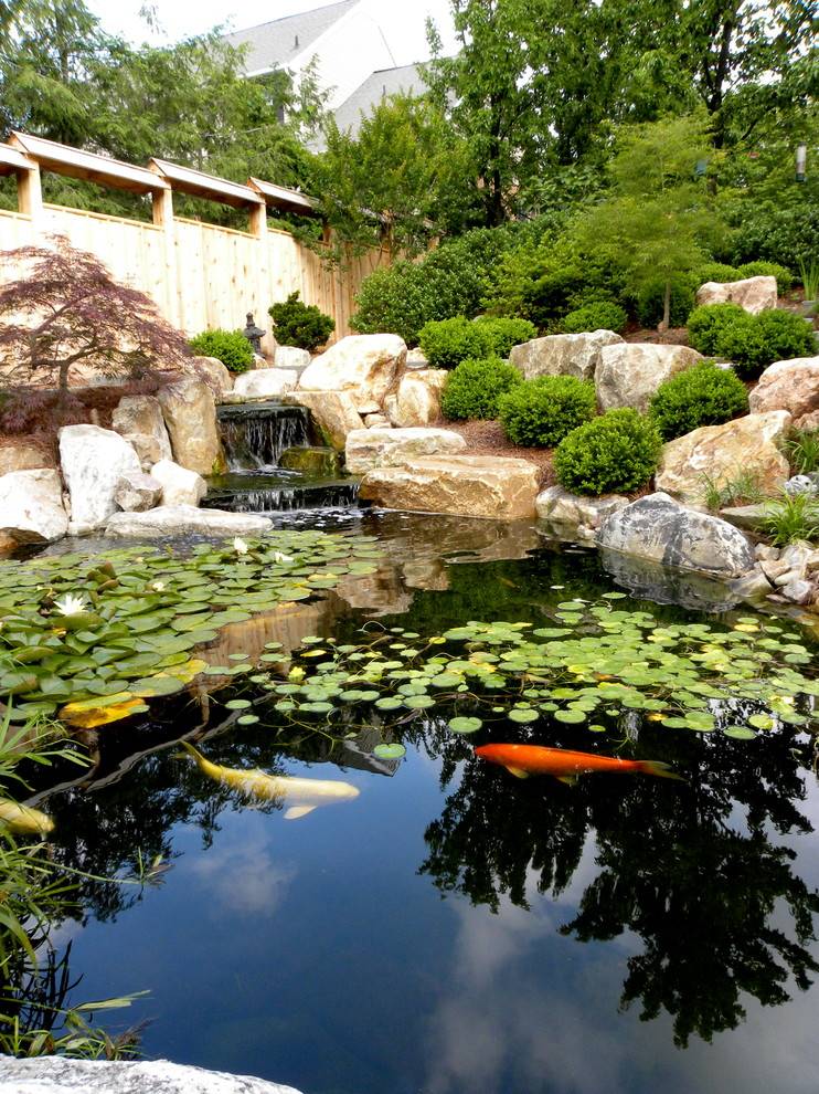 Japanese Gardens Koi Fish Ponds Interior Design Ideas
