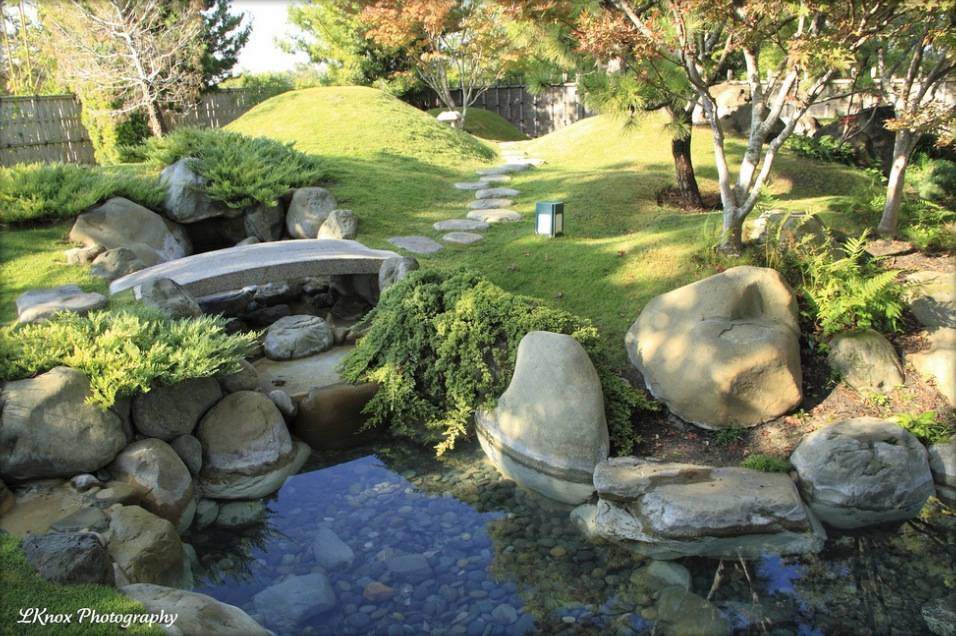 Backyard Waterfall Ideas