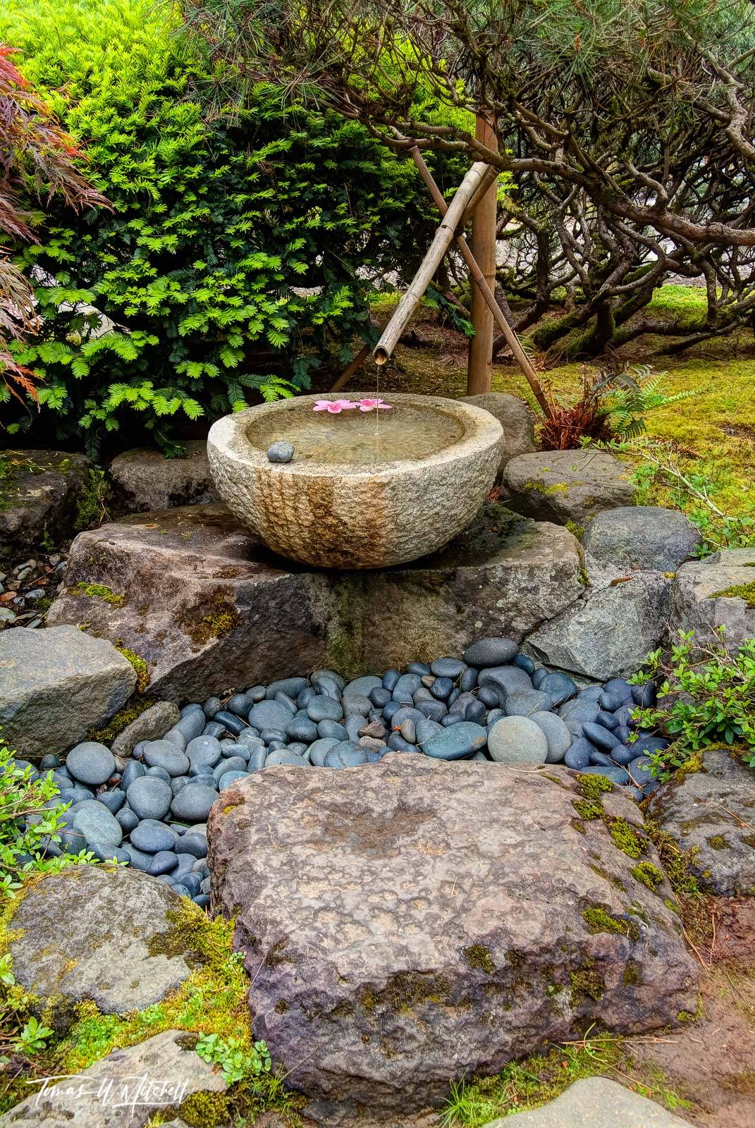 22 Japanese Garden Waterfall Fountains Ideas You Should Check SharonSable
