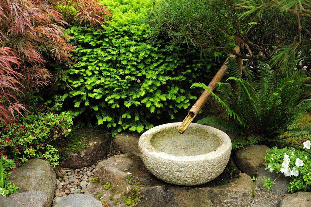 A Japanese Garden