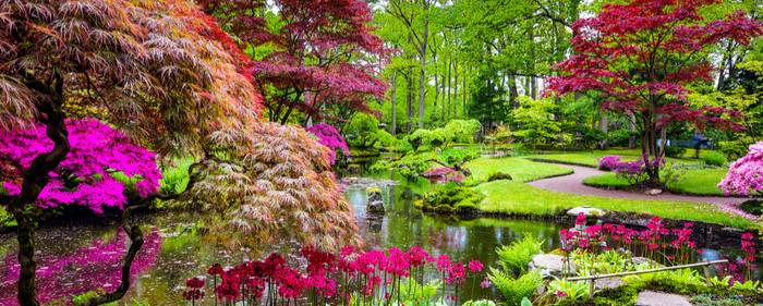 Beautiful Zen Gardens