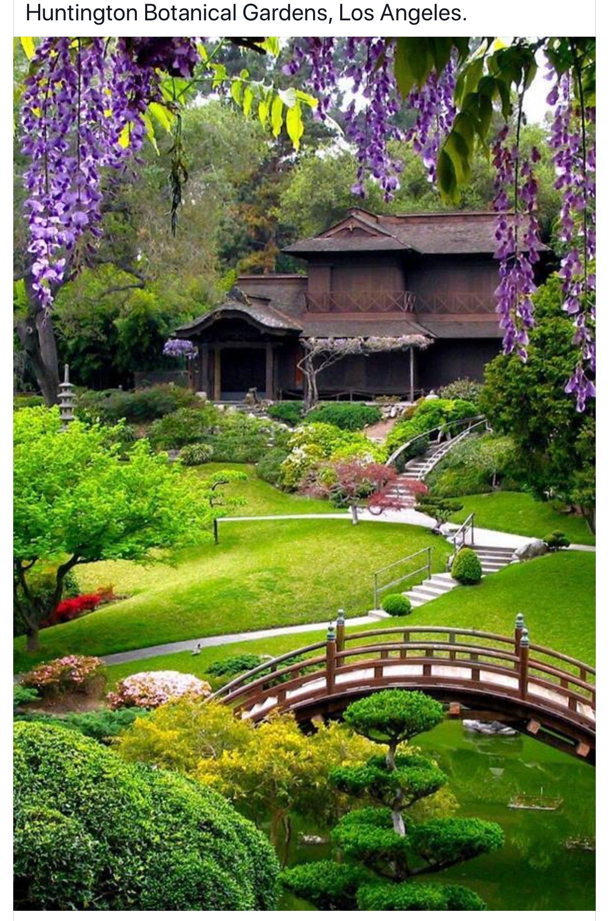 Backyard Japanese Garden Design Ideas Flower Garden Ideas Zen Zen