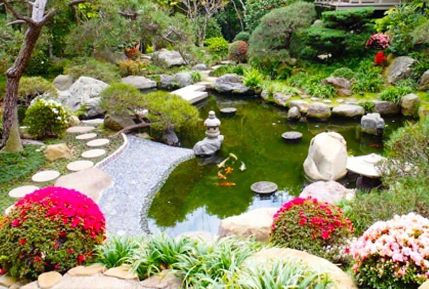 Gorgeous Backyard Water Feature Ideas