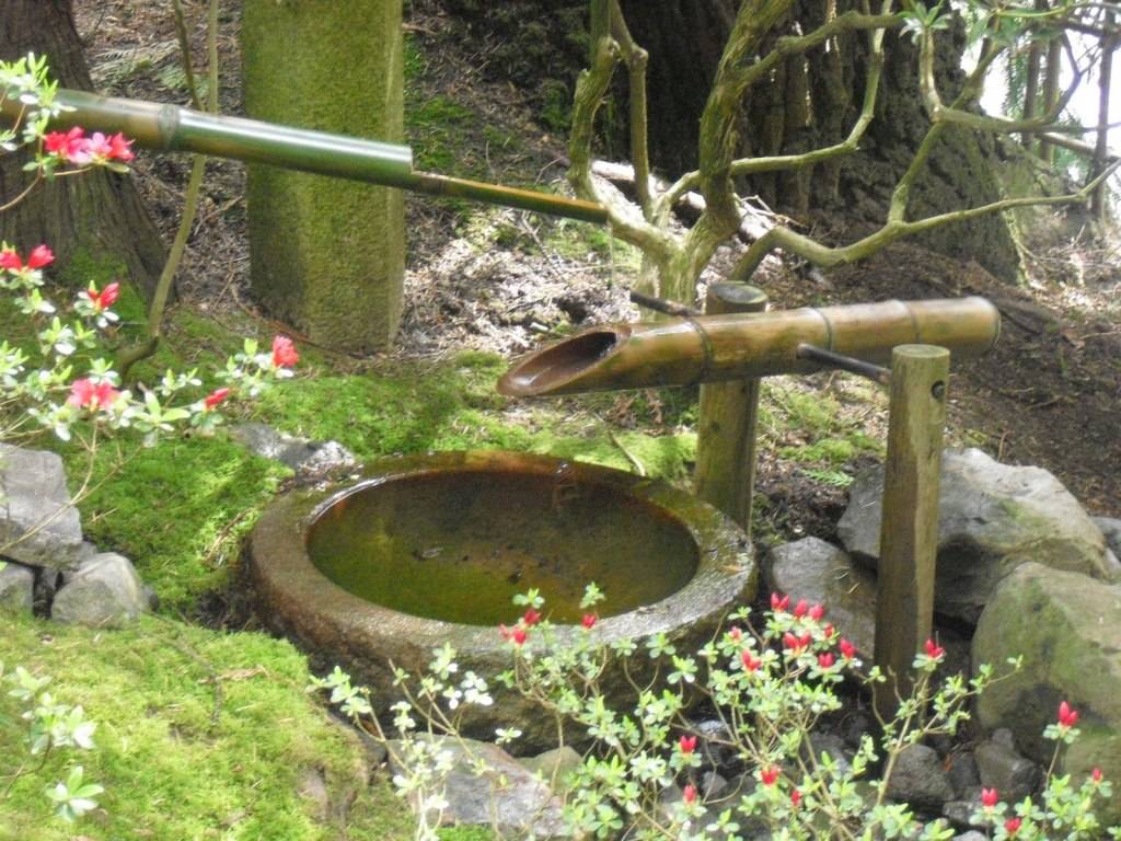 Diy Backyard Zen Garden Ideas