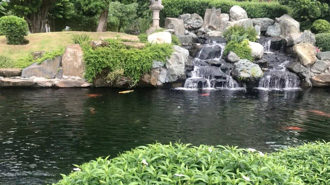 Beautiful Japanese Garden Pond