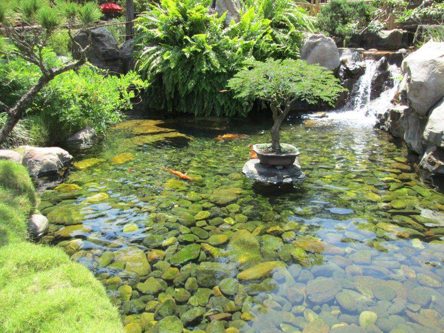 Ponds Waterfalls Landscaping Long Island Design And Buld Landscape