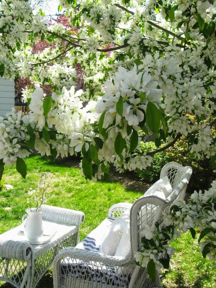 The Garden Benches Garden Ideas