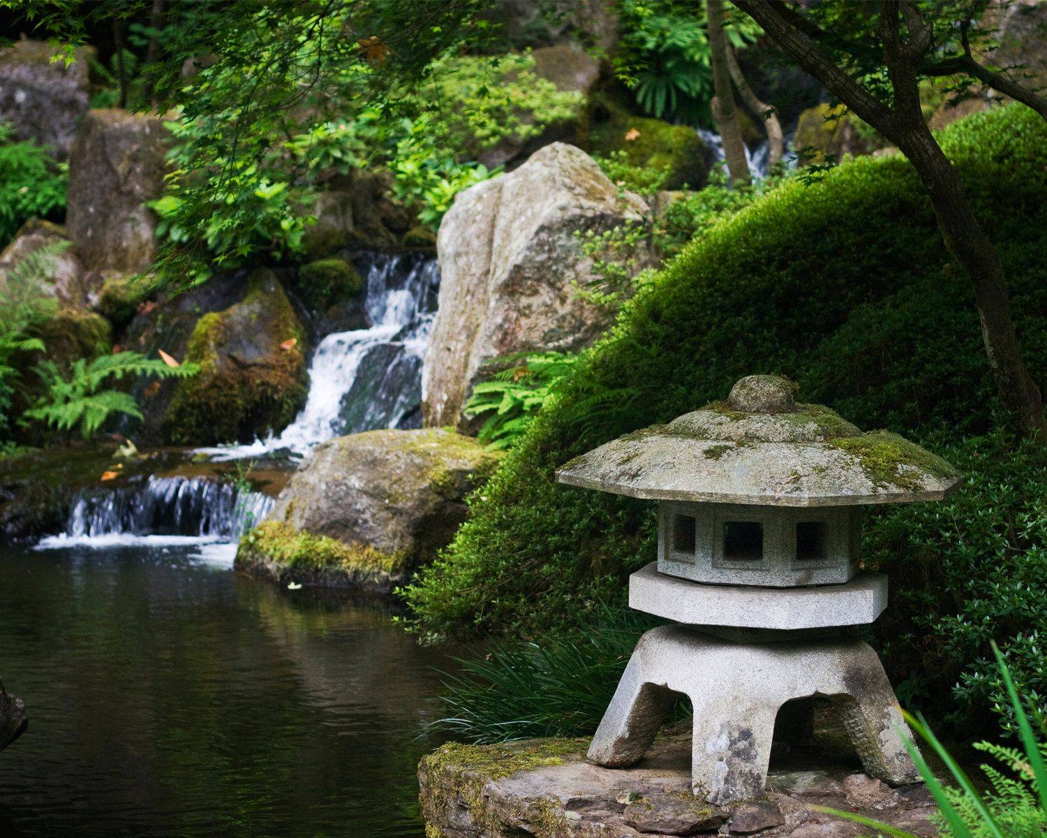 Japanese Style Fish Pond Ideas