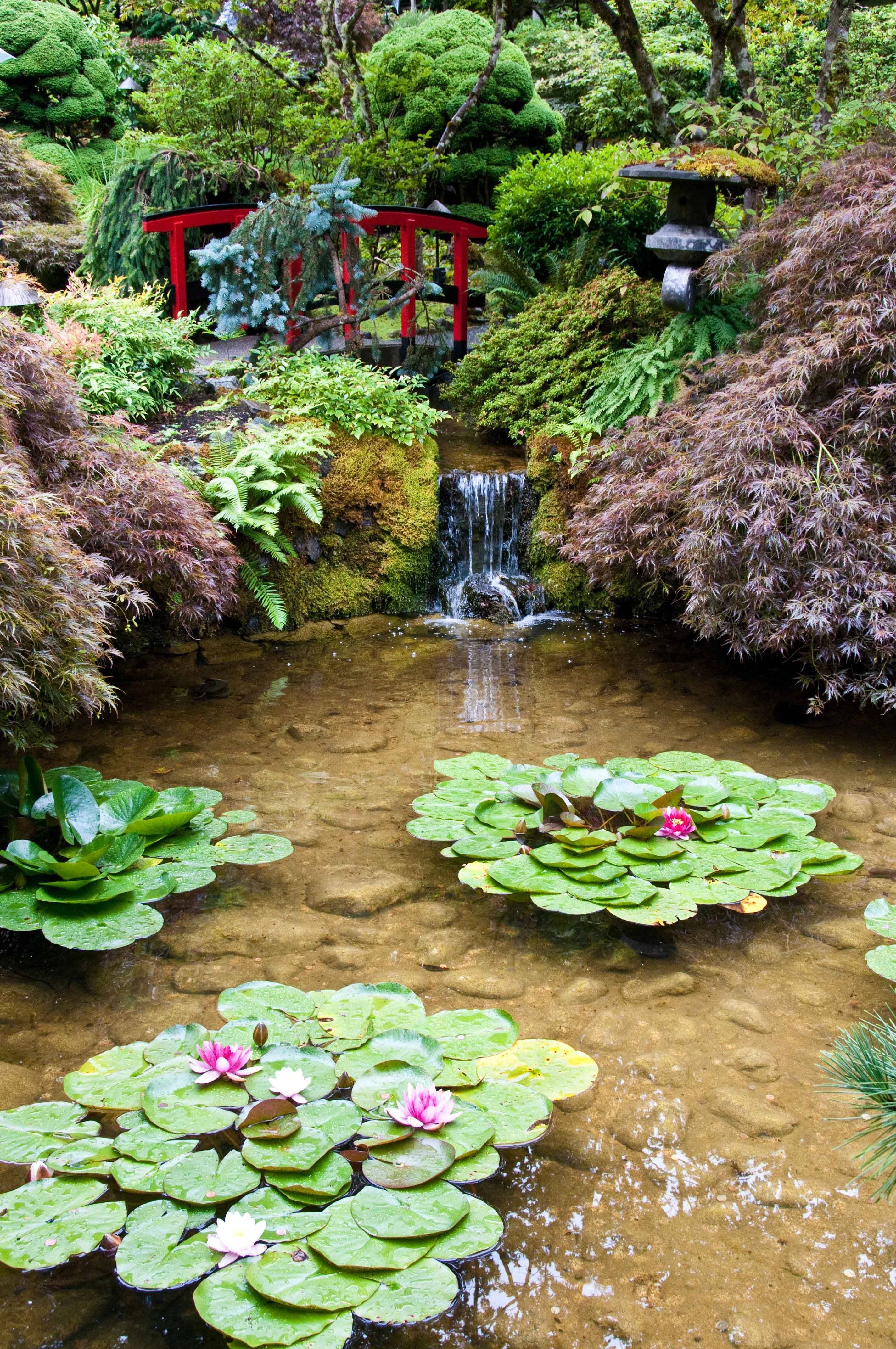 Japanese Style Fish Pond Ideas