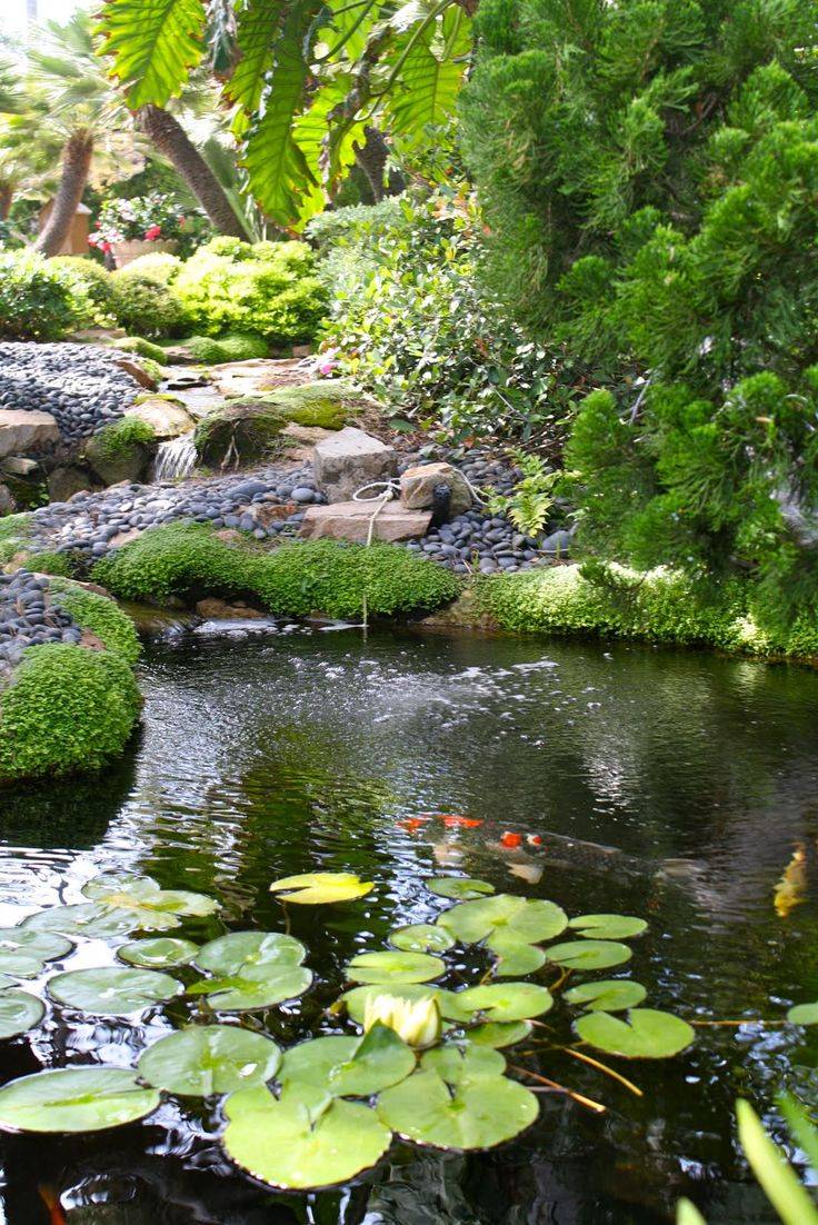 Lovely Meditation Garden Design Ideas Homepiez