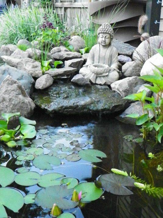 Pond Maintenance