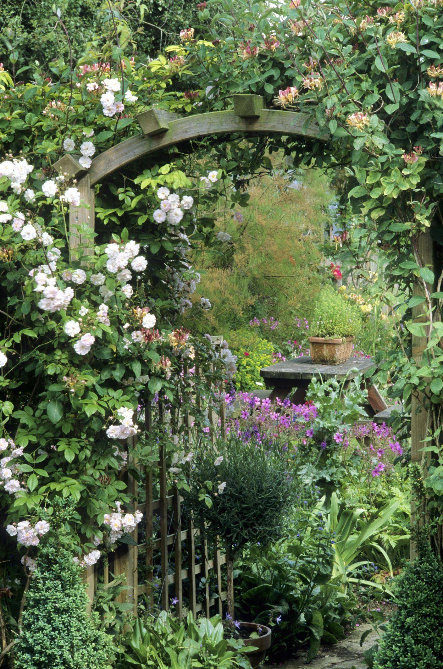 Exquisite Natural Garden Paths