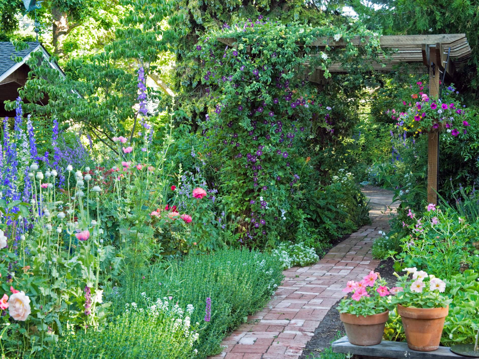 Amazing Front Yard Garden Path