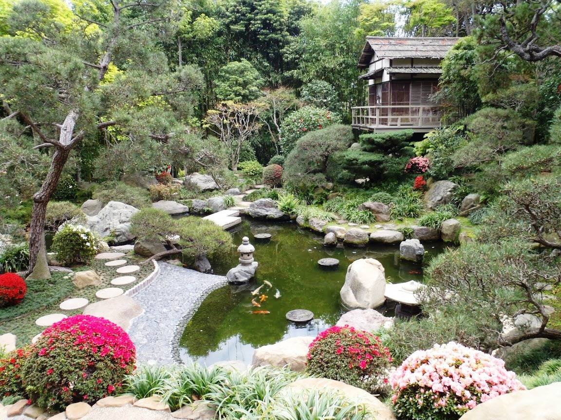 Gorgeous Backyard Water Feature Ideas
