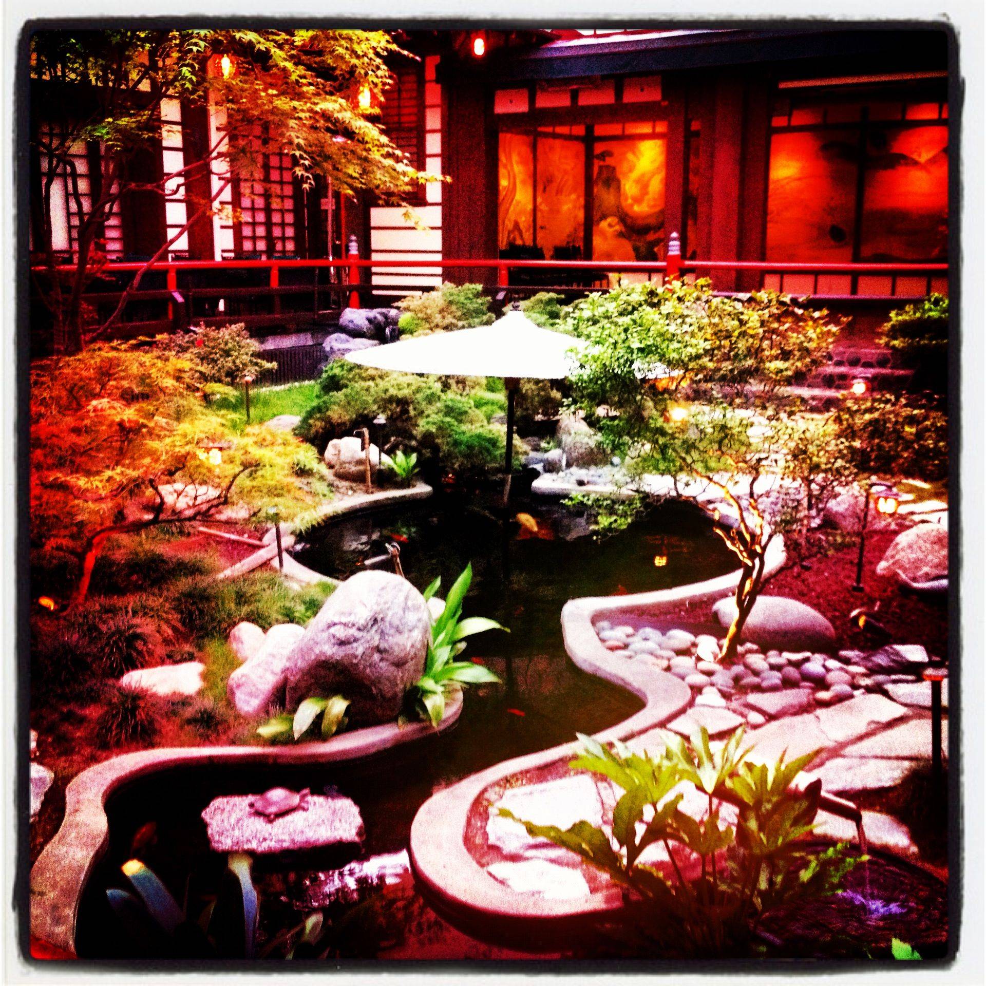 Japanese Garden Christmas Lights