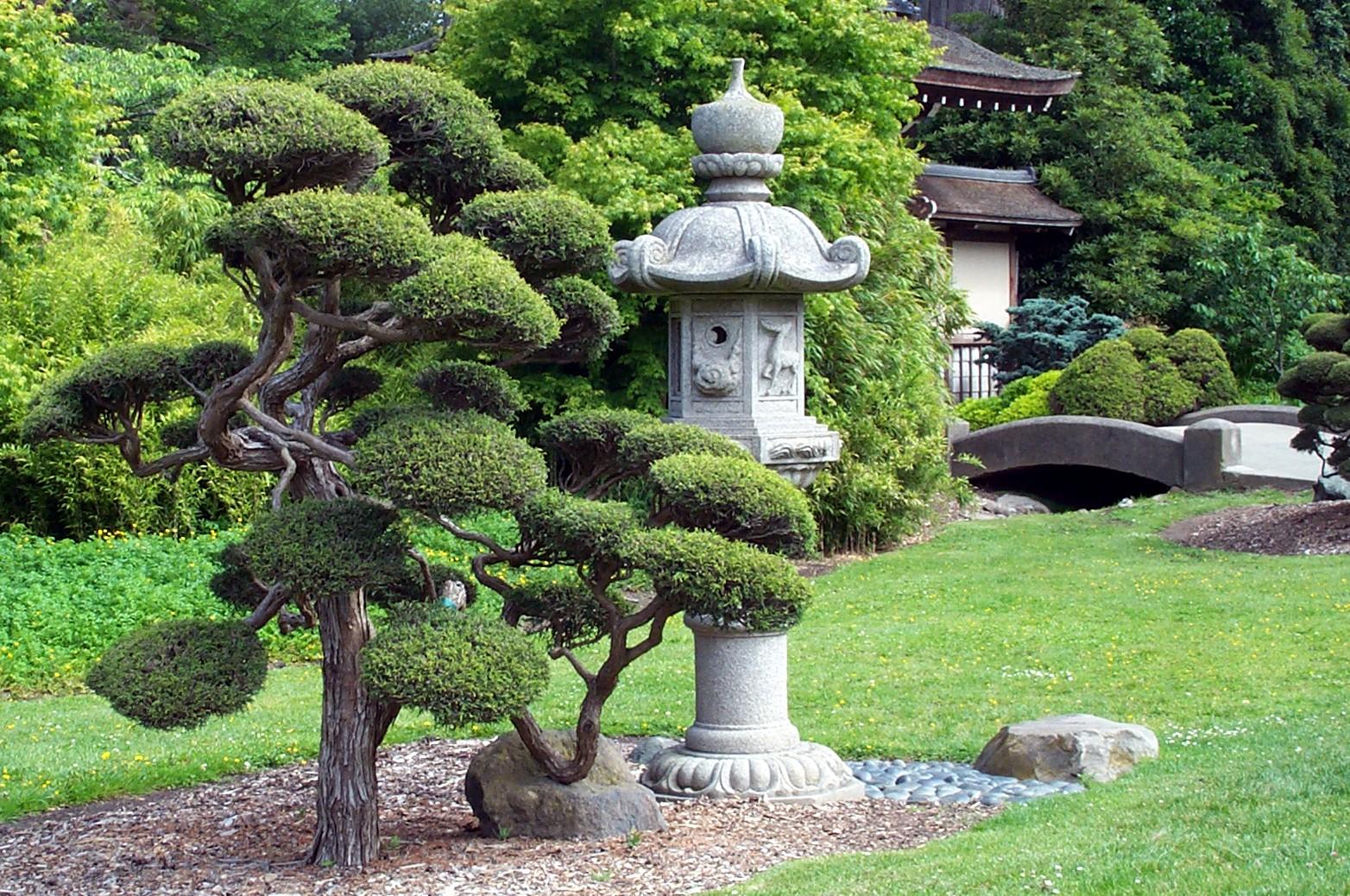 Japanese Garden Ideas