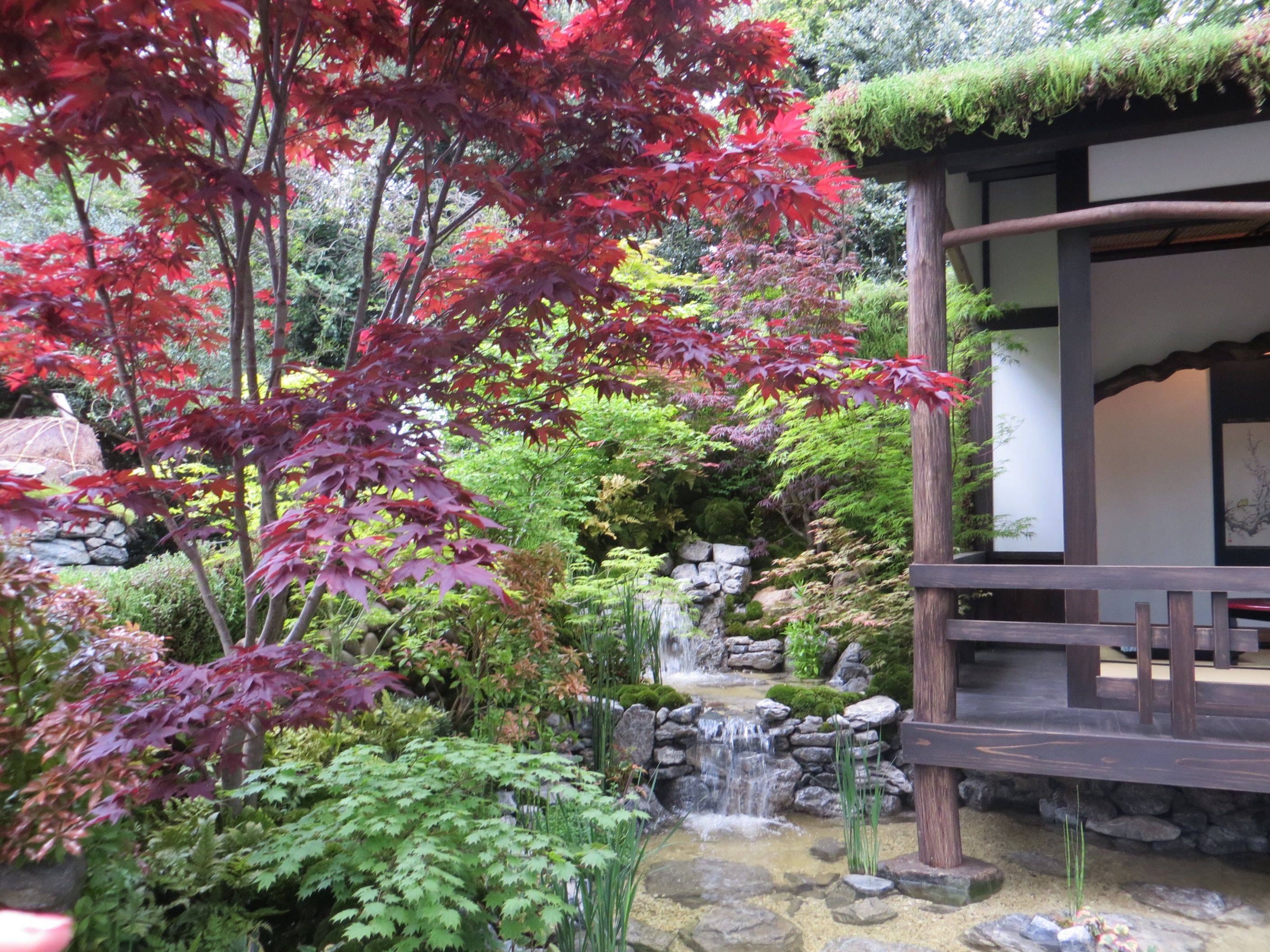 Landscape Design