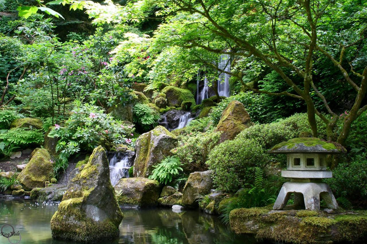 Pinterest Gardens