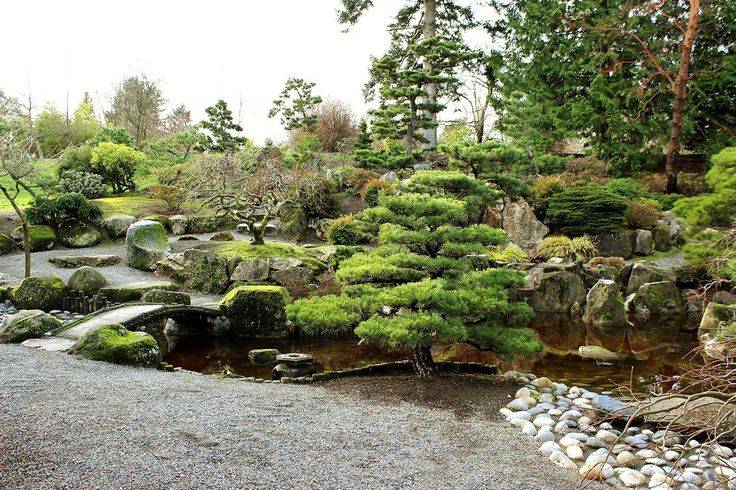 A Japanese Garden Backyard Water Feature