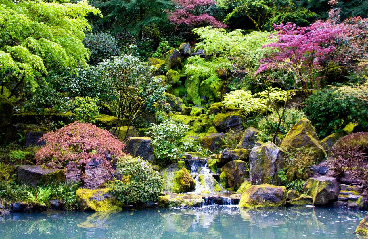 Japanese Garden Japanese Garden