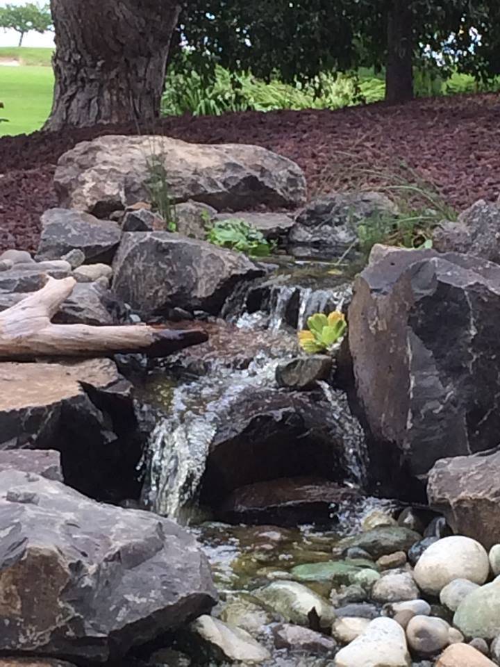 Japanese Garden Waterfall Pdx